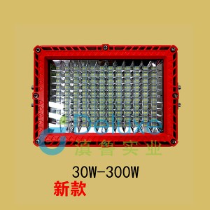 BZD188-02(新款)防爆燈